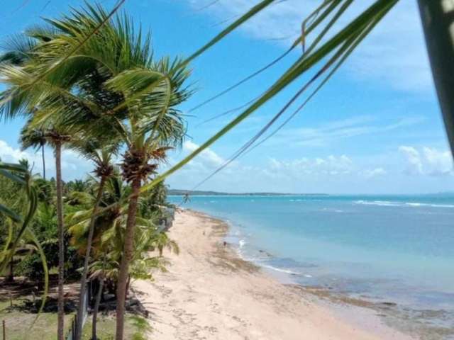 Oportunidade terreno pe na areia em Aratuba