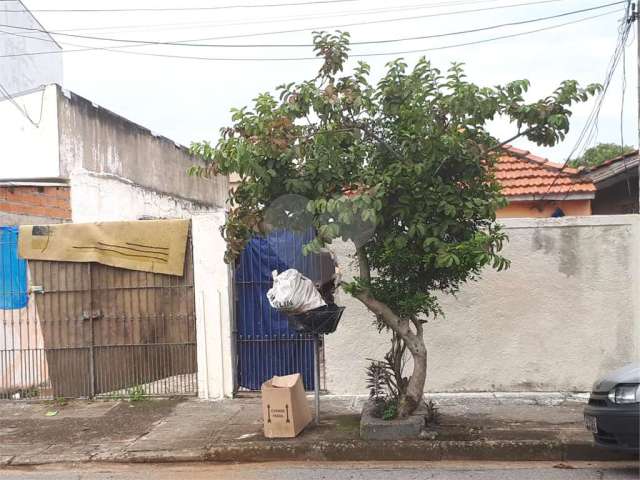 Terreno com 2 quartos à venda em Vila Camilópolis - SP