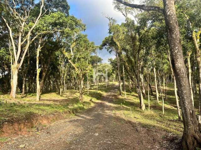 Chácara / sítio à venda no Bateias de Baixo, Campo Alegre  por R$ 600.680