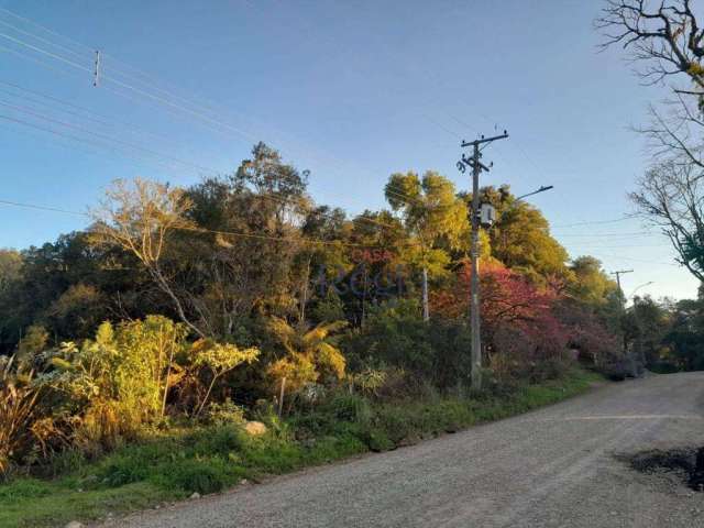 Terreno no bairro Alpes Verdes em Canela!