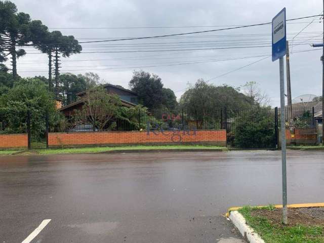 Terreno à venda, 3695 m² por R$ 2.500.000,00 - Eugenio Ferreira - Canela/RS