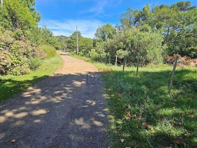 Terreno à venda, 1286 m² por R$ 300.000,00 - Distrito Eletra - São Francisco de Paula/RS