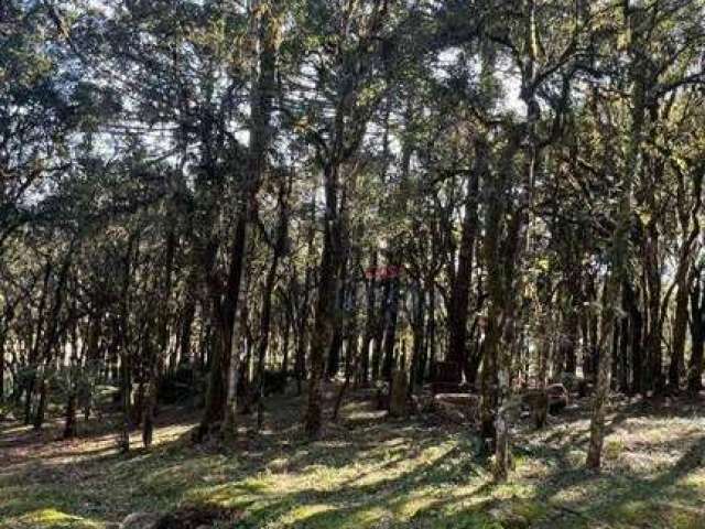 Terreno à venda, 952 m² por R$ 750.000 - Bosque Sinoserra - Canela/RS