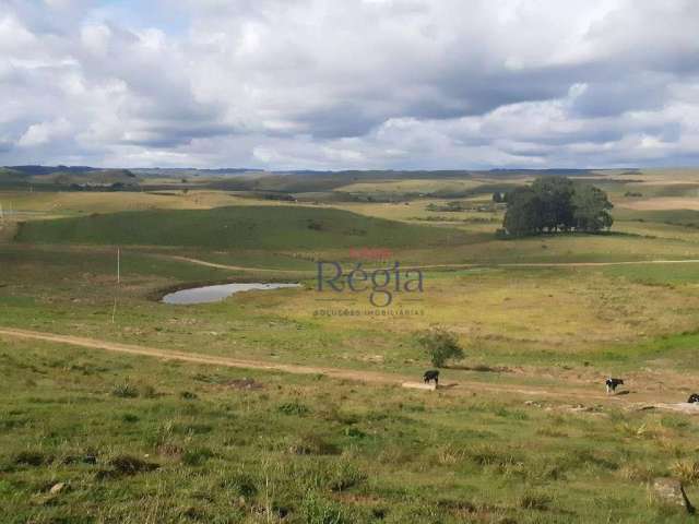 Sítio à venda, 201 hectares por R$ 11.500.000 - Lajeado Grande - São Francisco de Paula/Rio Grande do Sul