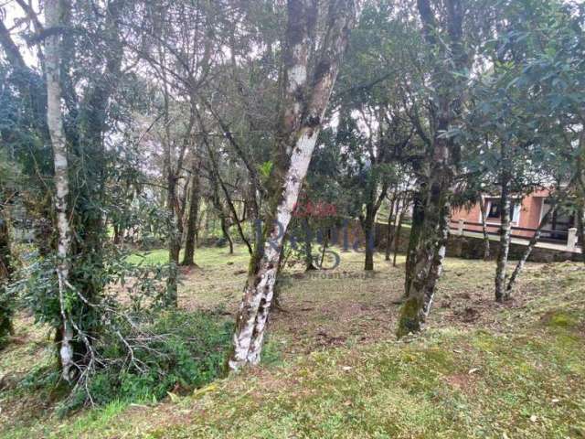 Terreno à venda, 707 m² por R$ 1.800.000 - Centro - Canela/RS