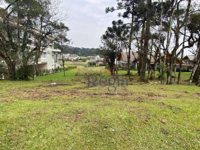 Terreno à venda, 795 m² por R$ 2.000.000 - Centro - Canela/RS