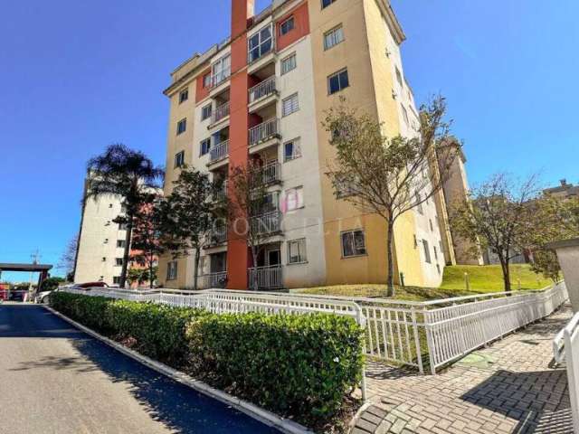 Apartamento com 3 quartos sendo um suíte Neoville Cutitiba