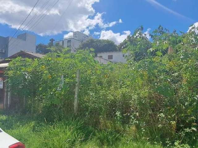 Terreno de 328m². no bairro Vila Ipiranga, localizado na Rua Alberto Barbosa e próximo a supermercados, escolas e aos principais comércios da região. Paradas de ônibus e lotação a poucos metros do imó