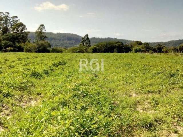 Área rural na região do Lami, bairro Extrema com  2,0 ha em terreno plano, possui  área para plantio e nos fundos possui um açude com mata nativa terminando no Arroio da Divisa. Localizado a menos de 