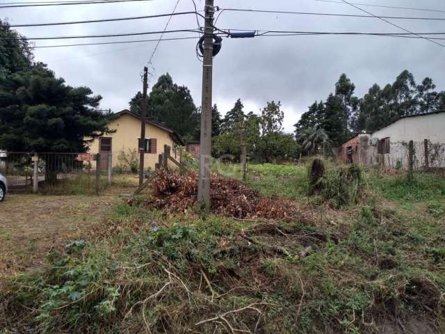 Terreno na AV Edgar Pires de Castro, medindo 12x40, próximo a  mercado, posto de gasolina,&lt;BR&gt;pronto para construir. &lt;BR&gt;Não perca tempo, agende uma visita e surpreenda-se.