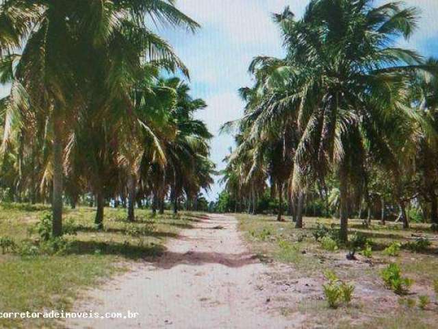 Fazenda para Venda em Extremoz, capim -extremoz, 3 dormitórios, 1 suíte, 2 banheiros, 6 vagas