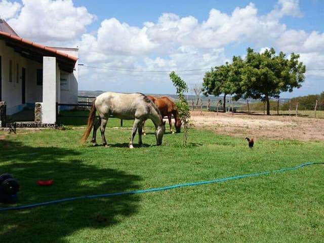 Granja para Venda em São Gonçalo do Amarante, Jardins, 3 dormitórios, 2 suítes, 4 banheiros, 6 vagas