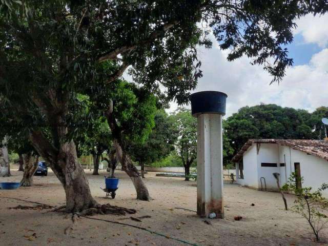 Granja para Venda em Macaíba, Centro, 2 dormitórios, 3 banheiros, 9 vagas