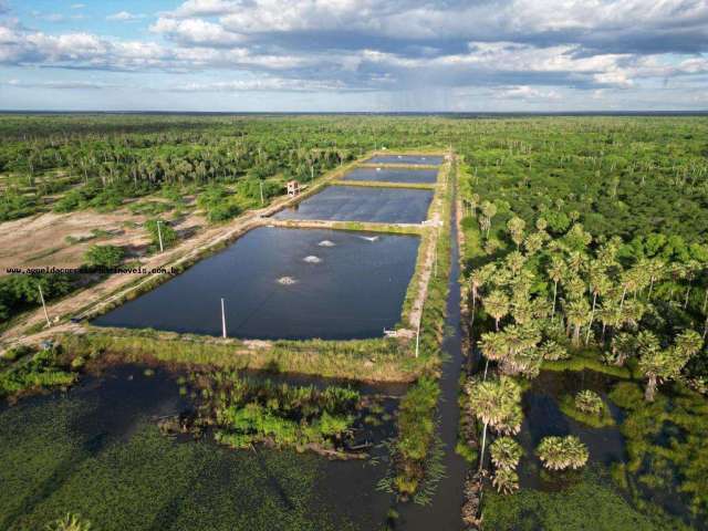 Fazenda para Venda em Pendências, RN 404 cidade do Rio Grande do Norte.