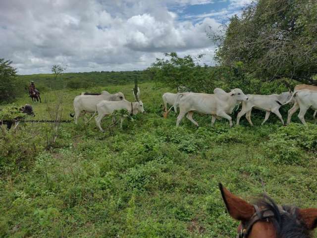 Fazenda para Venda em Natal, Potengi