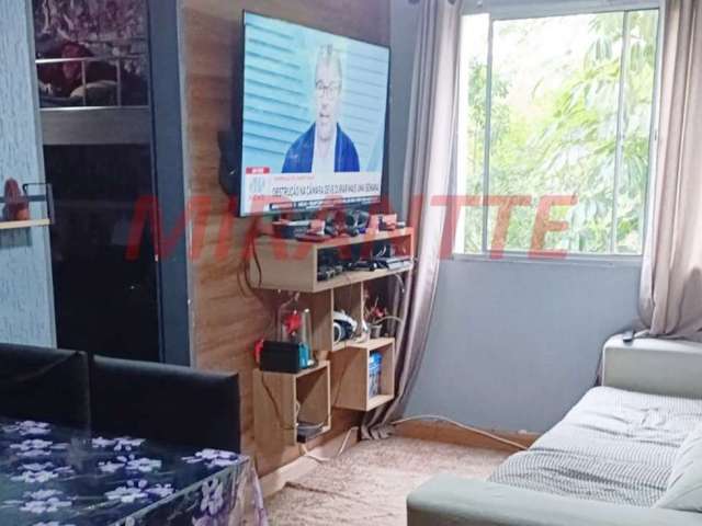 Apartamento com 3 quartos em Pirituba