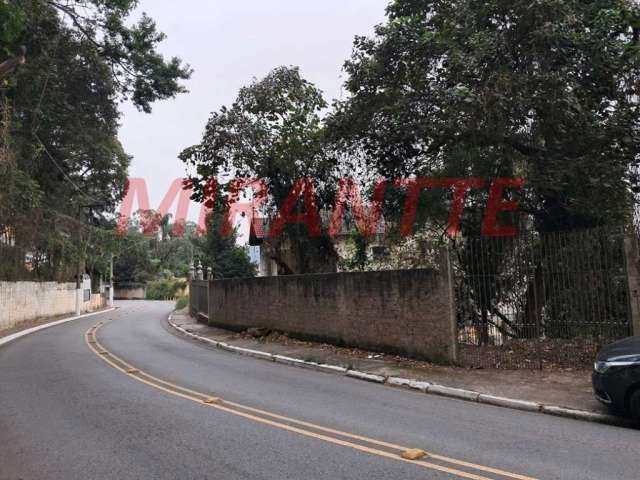 Terreno em Vila Albertina