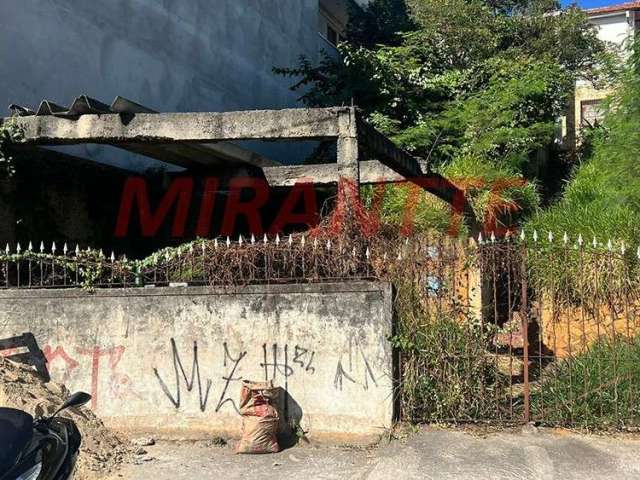 Terreno de 260m² em Vila Gustavo