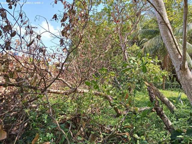 Terreno para Venda em Natal, Ponta Negra