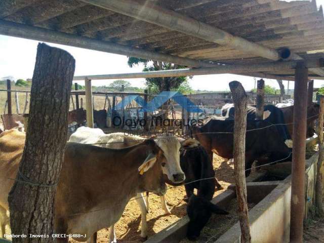 Fazenda para Venda em Macaíba, Traíras