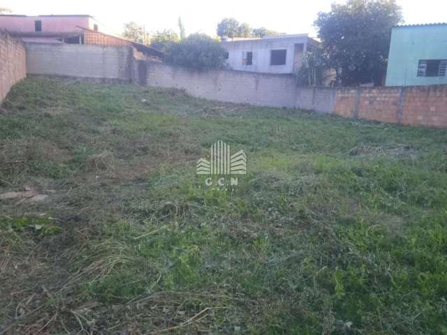 lote no sao joao