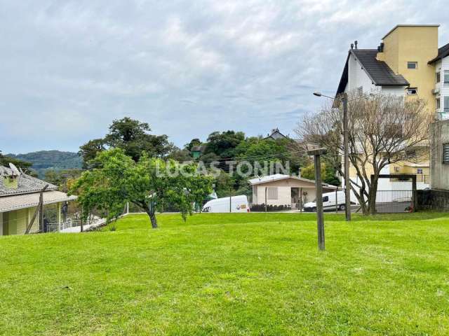 Lote de Rua na Floresta de Gramado para Construção de Casa ou Imóvel Oportunidade Parcelamento Direto