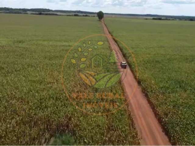 Oportunidade! fazenda em tocantins com 840 alqueires