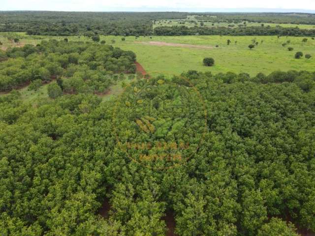 Excelente fazenda em  lagoa da confusão - tocantins fa00139