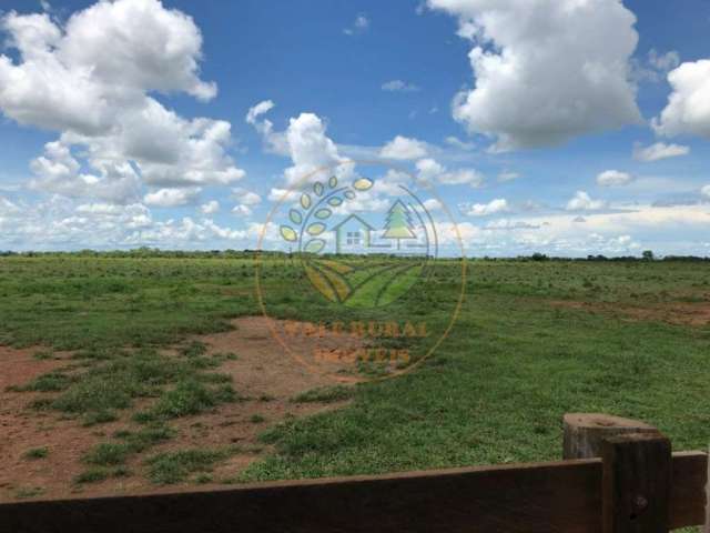 Oportunidade! fazenda no tocantins com 970 alqueires fa00136