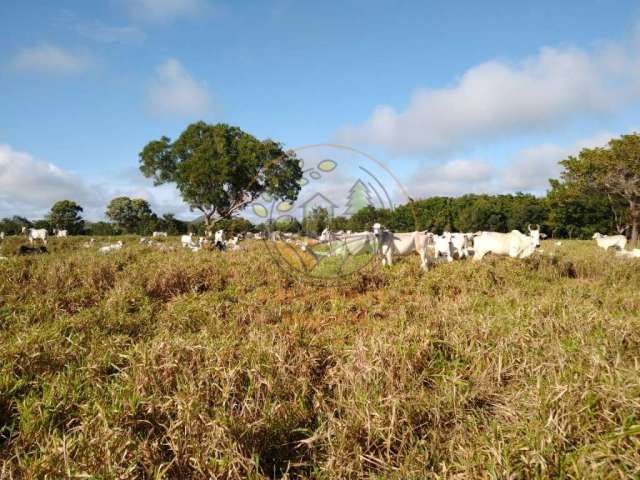 Fazenda de 1.000 alqueires a venda em tocantins! fa00134