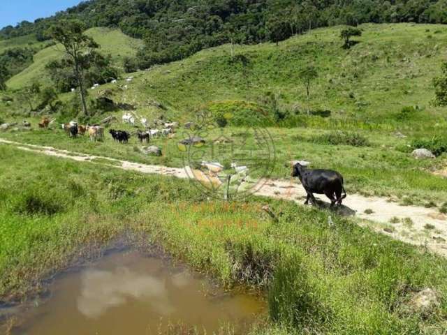 Incrível fazenda com nascentes e água cristalina no rj - fa00121