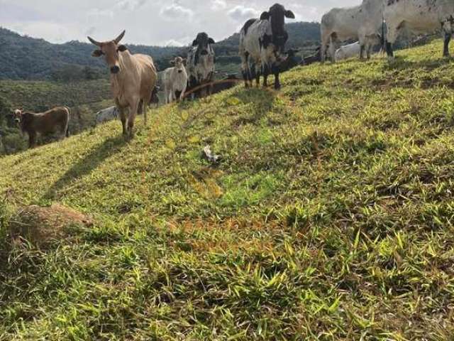 Lindo sítio com  pasto e curral em pouso alegre mg - st00123