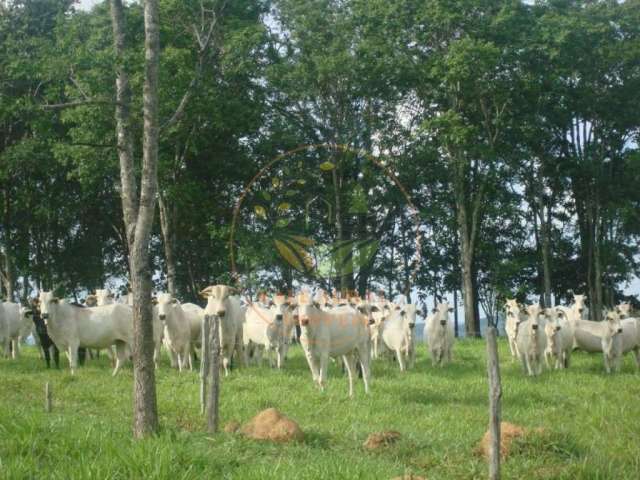 Maravilhosa fazenda com 607 hectares em vazante mg - fa00116