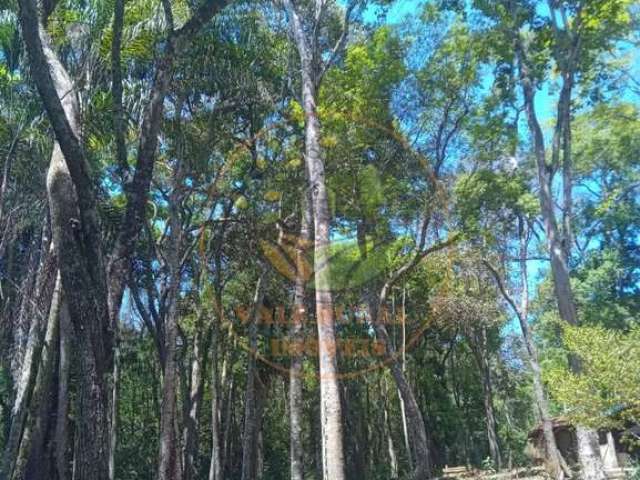 Sítio maravilhoso em conceição do rio verde com diversas belezas naturais.