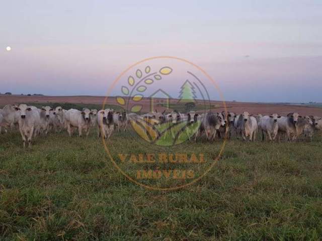 Raridade! maravilhosa fazenda de 1.172 alqueires com fábrica de ração e pista de pouso em sp! fa00102