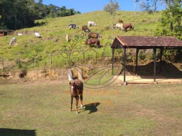 Excelente sítio em quatis rj com cachoeira, pasto e muito mais! st00098