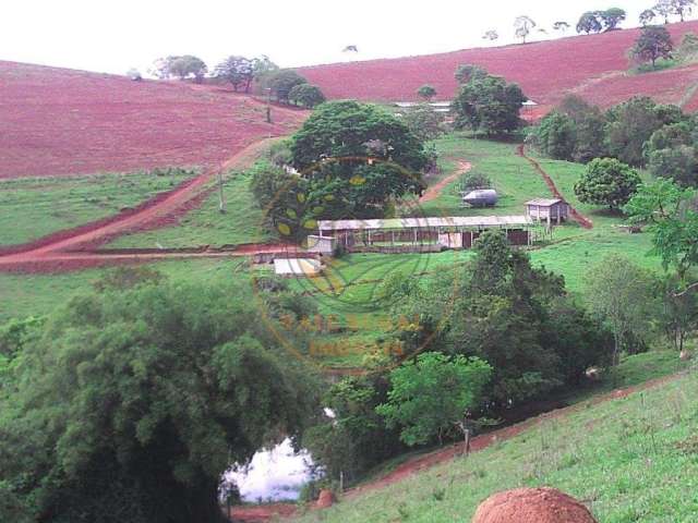 Excente sítio em pouso alegre de 17,4 alqueires com plantação de café, pasto formado  e muita água! st00089