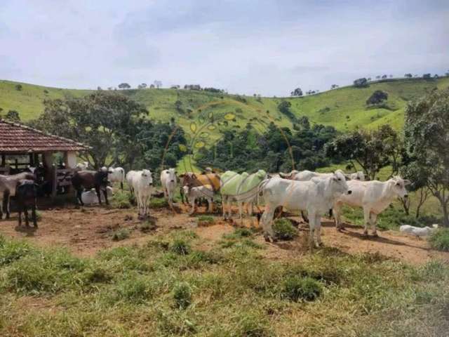 Excelente fazenda com 347 hectares no sul de minas para pecuaria de corte e leite! fa00068