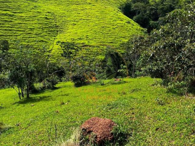 Excelente área rural em jambeiro com 22.500 m² e muita água! ar00041