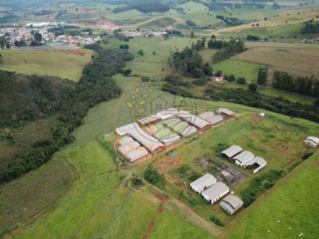 Excelente área escriturada com 35 hectares, muita água e 19 barracões! ar00038