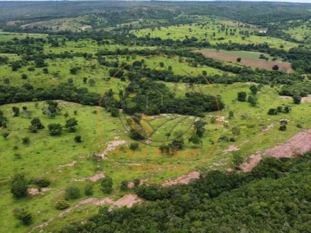 Fazenda com 678 hectares no noroeste de minas gerais com dupla aptidão   fa00051