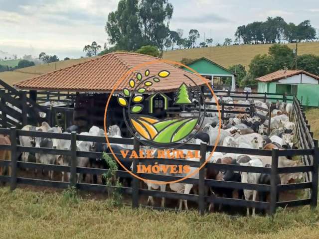 Raridade! fazenda no sul de minas de  143 hectares, com estrutura completa para bois de corte!  fa00025