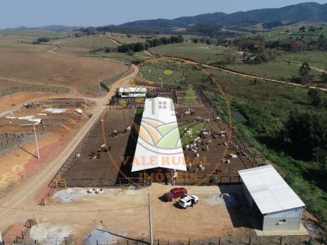 Fazenda estruturada para confinamento ou leite no vale do paraíba. porteira fechada! - fa00003