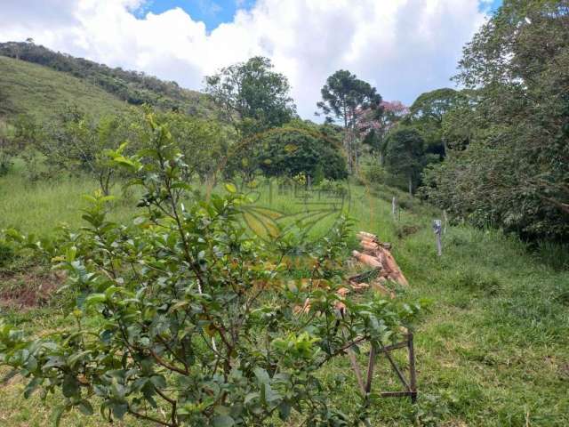 Oportunidade! sitio de 50 hectares em bom jardim minas - mg  st00191