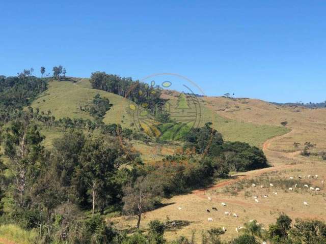 Oportunidade! fazenda para gado com 338 alqueires em caconde - sp  fa00187