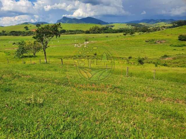 Excelente fazenda de 224 hectares em itajubá - mg  fa00207