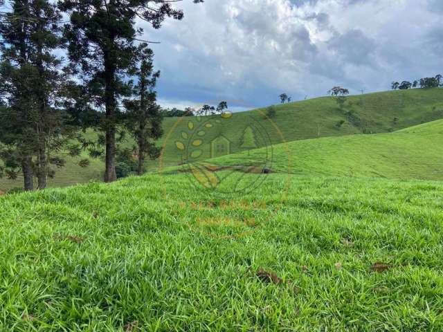 Excelente área em sapucai mirim - mg com 7 alqueires, com vista deslumbrante  ar00096