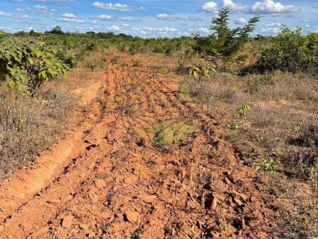 Fazenda no tocantins com 232 alqueires ,  dupla aptidão  fa00243