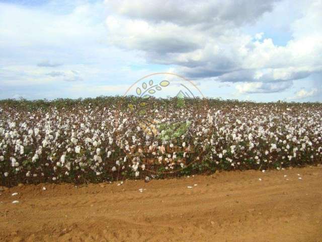 Fazenda de 15.912 hectares no mato grosso  fa00240