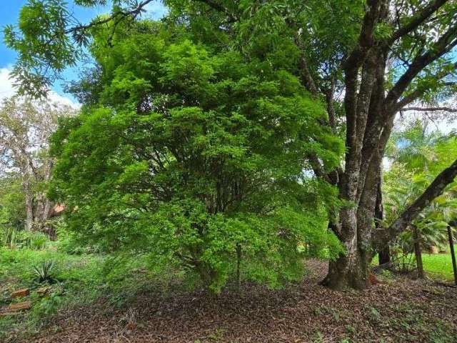 Lote à venda em Igarapé no Condomínio  Fazenda Solar